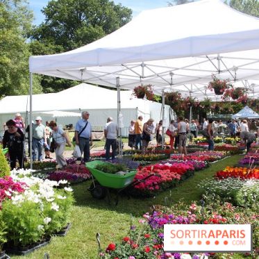 Journées de la Rose 2014