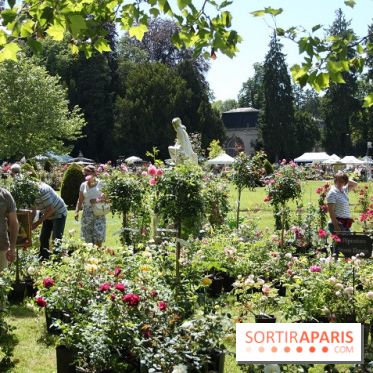 Journées de la Rose 2014