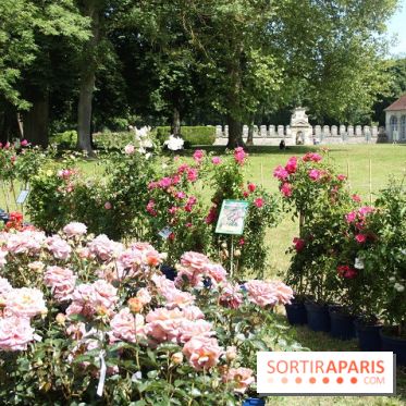 Journées de la Rose 2014