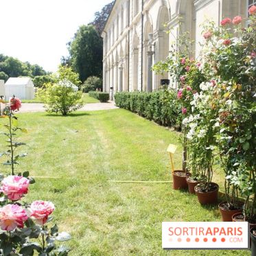 Journées de la Rose 2014