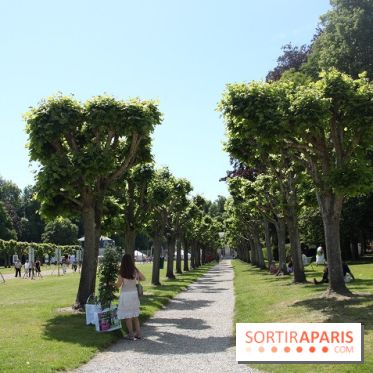 Journées de la Rose 2014