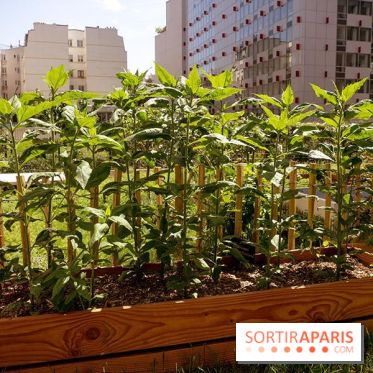 FRAME, la brasserie franco-californienne