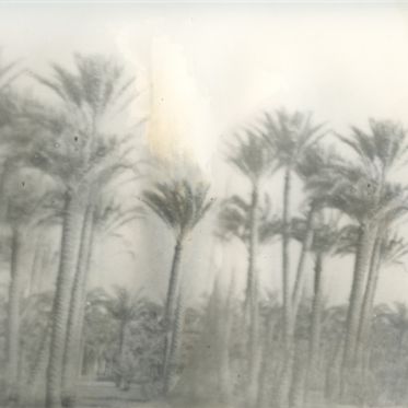 Mois de la Photo 2014