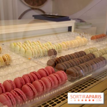 Gastel, la pâtisserie orgasmique