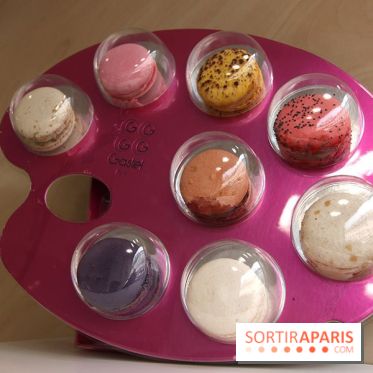 Gastel, la pâtisserie orgasmique