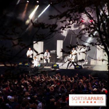 Rock En Seine 2014 - The Hives