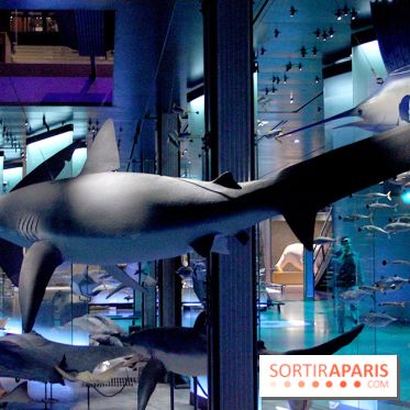 Grande Galerie de l'Evolution