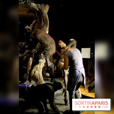 Grande Galerie de l'Evolution - taxidermie