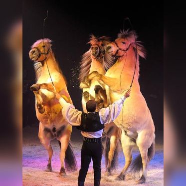 Cirque Pinder : Sandro Montez