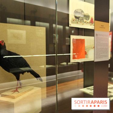 Les animaux célèbres de la Ménagerie, l'exposition