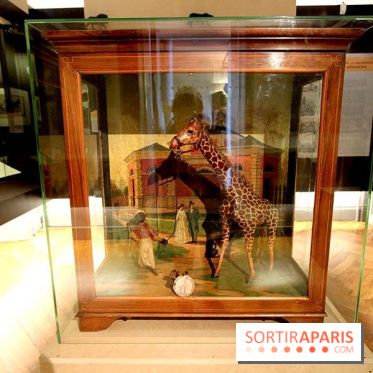 Les animaux célèbres de la Ménagerie, l'exposition