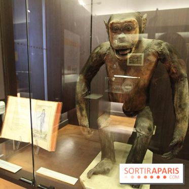 Les animaux célèbres de la Ménagerie, l'exposition