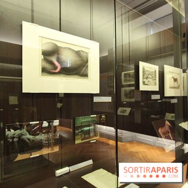 Les animaux célèbres de la Ménagerie, l'exposition