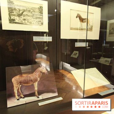 Les animaux célèbres de la Ménagerie, l'exposition