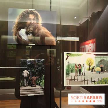 Les animaux célèbres de la Ménagerie, l'exposition