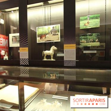 Les animaux célèbres de la Ménagerie, l'exposition