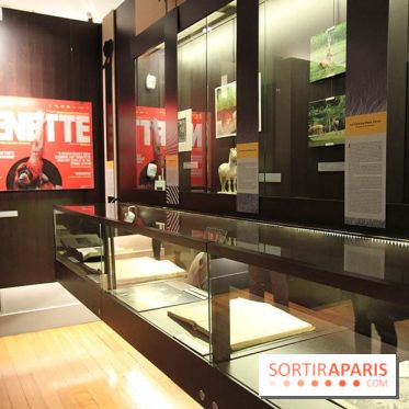 Les animaux célèbres de la Ménagerie, l'exposition