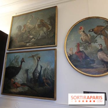 Les animaux célèbres de la Ménagerie, l'exposition