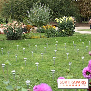 FIAC 2014 Jardin des Plantes