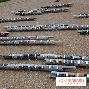 FIAC 2014 Jardin des Plantes