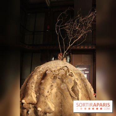 FIAC 2014 Jardin des Plantes