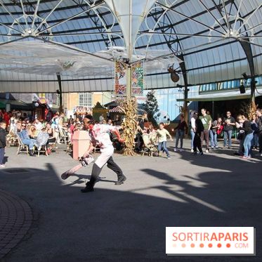 Halloween au Parc Astérix 2014