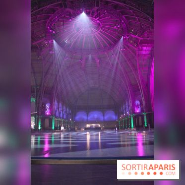 Le Grand Palais des Glaces 2014