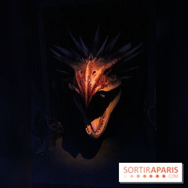 Exposition Harry Potter à Paris, Cité du Cinéma