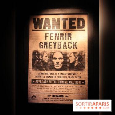 Exposition Harry Potter à Paris, Cité du Cinéma