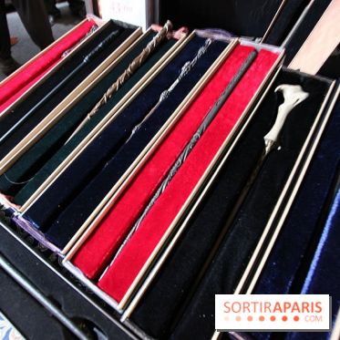 Exposition Harry Potter à Paris, Cité du Cinéma