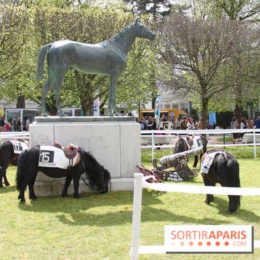 Les Dimanches au Galop 2015