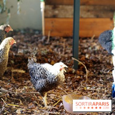 Ground Control 2015 à Paris