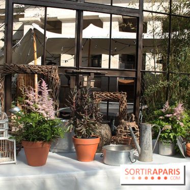 Le potager d'Aucy 2015 à la Serre de la Rotonde