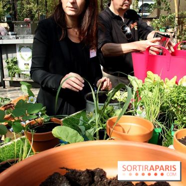 Le potager d'Aucy 2015 à la Serre de la Rotonde