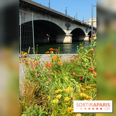 Petite Fleur Folie, le jardin éphémère sur les Berges