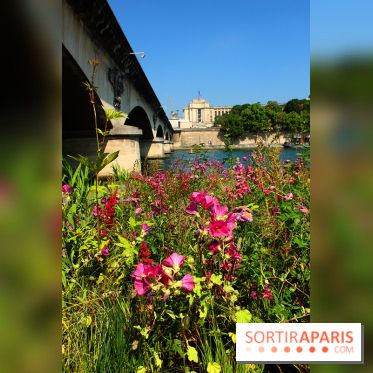 Petite Fleur Folie, le jardin éphémère sur les Berges