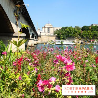 Petite Fleur Folie, le jardin éphémère sur les Berges