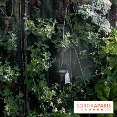 Le Paris sous les fraises des Galeries Lafayette