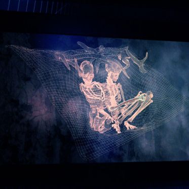 Préhistoire(s), l'enquête