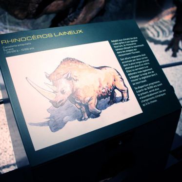 Préhistoire(s), l'enquête