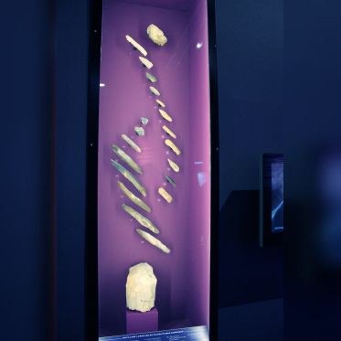 Préhistoire(s), l'enquête