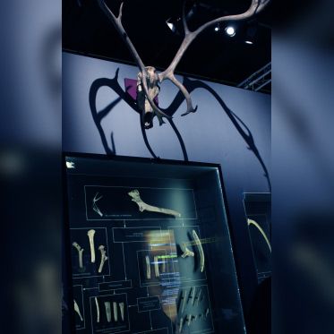 Préhistoire(s), l'enquête