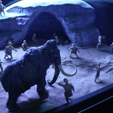 Préhistoire(s), l'enquête