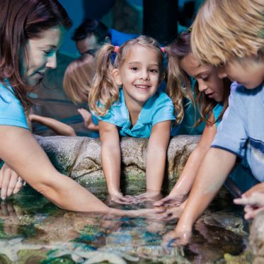 SEA LIFE, l'aquarium