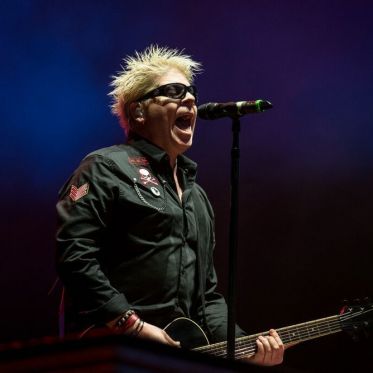 Rock En Seine 2015 - The Offspring
