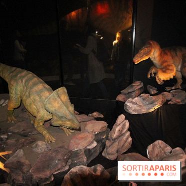 Autour des dinosaures au Palais de la Découverte