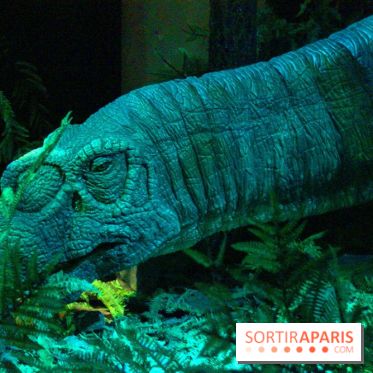 Autour des dinosaures au Palais de la Découverte