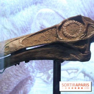 Autour des dinosaures au Palais de la Découverte