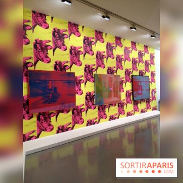 Andy Warhol au MAMVP