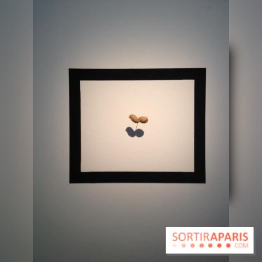 Climats artificiels à la Fondation EDF